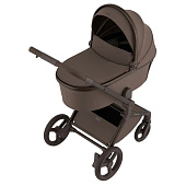 Коляска 2 в 1 Anex Flo (fl-07c) Browny 01